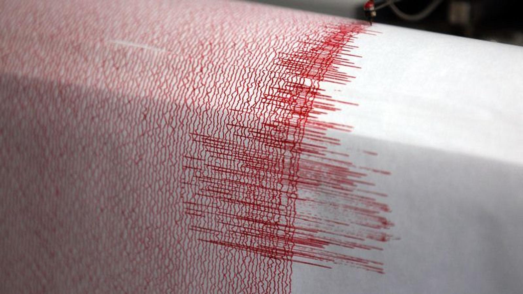 Der Seismograf der Erdbebenwarte verzeichnet Ausschläge. (Symbolbild)