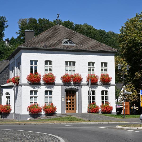 Hinter dem Odenthaler Rathaus stehen Bäume.