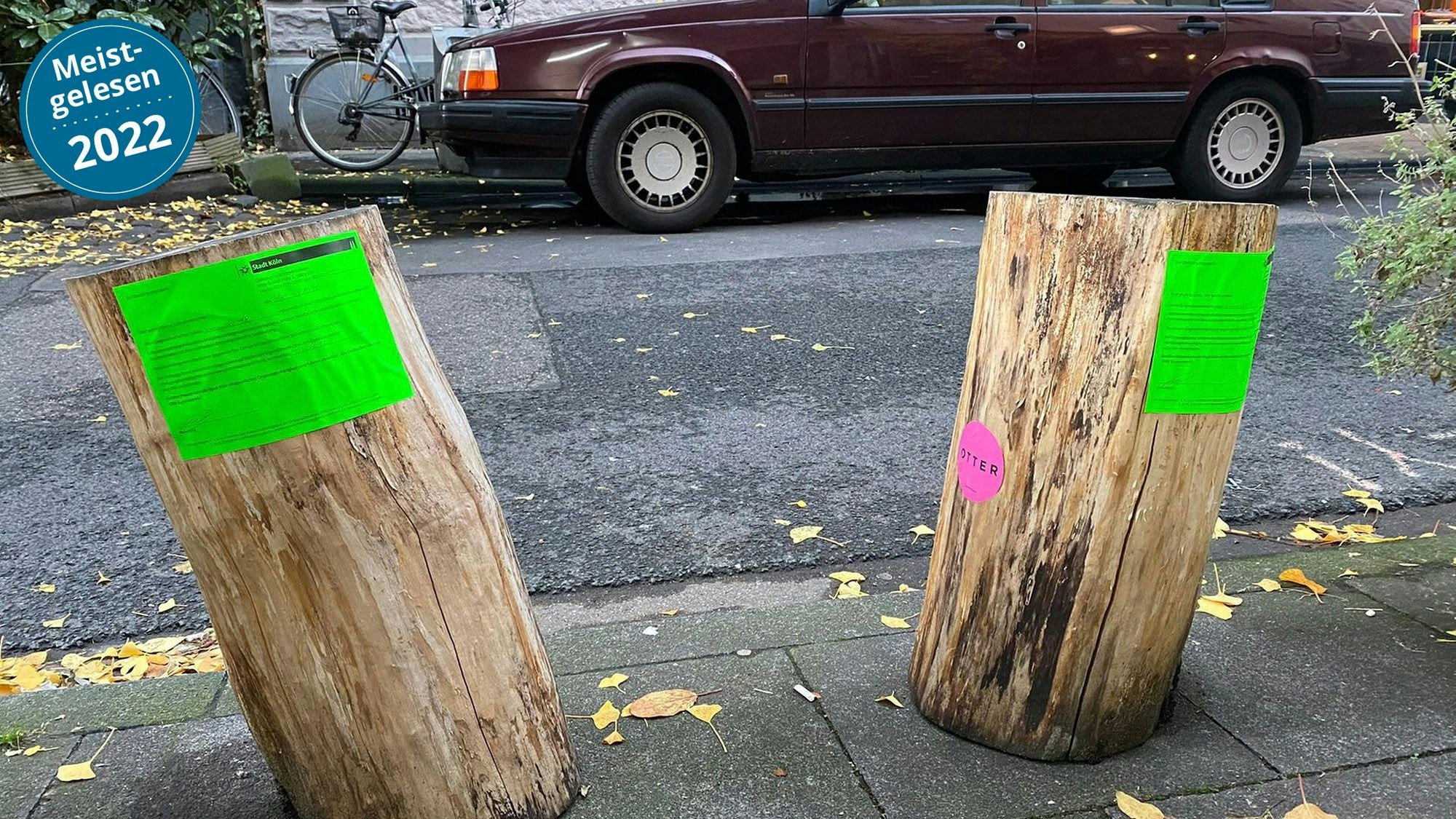 Auch diese Holzstämme wurden vom Ordnungsamt als Gefahr markiert.