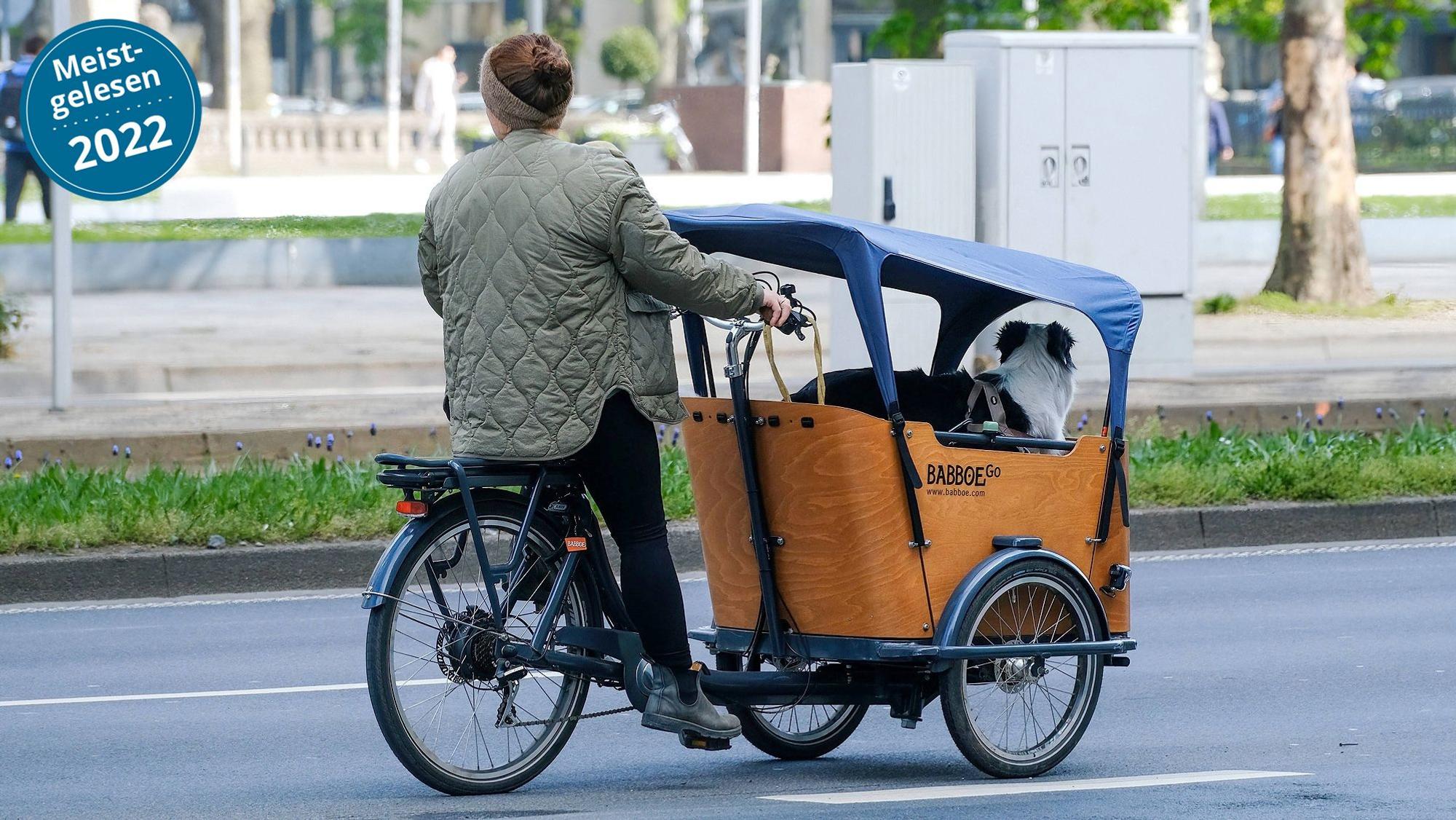 Lastenrad