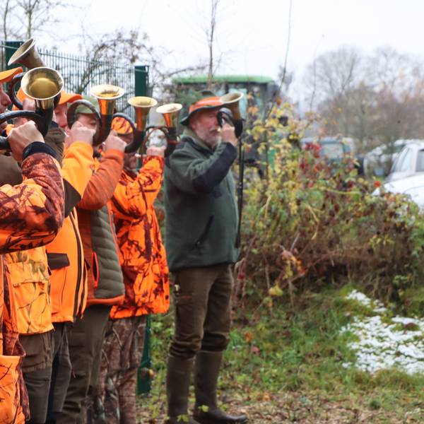 Jäger in orangefarbenen Jacken blasen in ihre Jagdhörner.