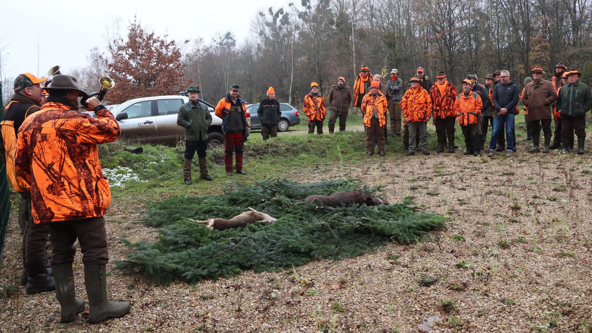Auf Tannenzweigen liegen ein geschossenes Wildschwein und ein Reh. Im Halbkreis haben sich die Jäger um die toten Tiere versammelt.
