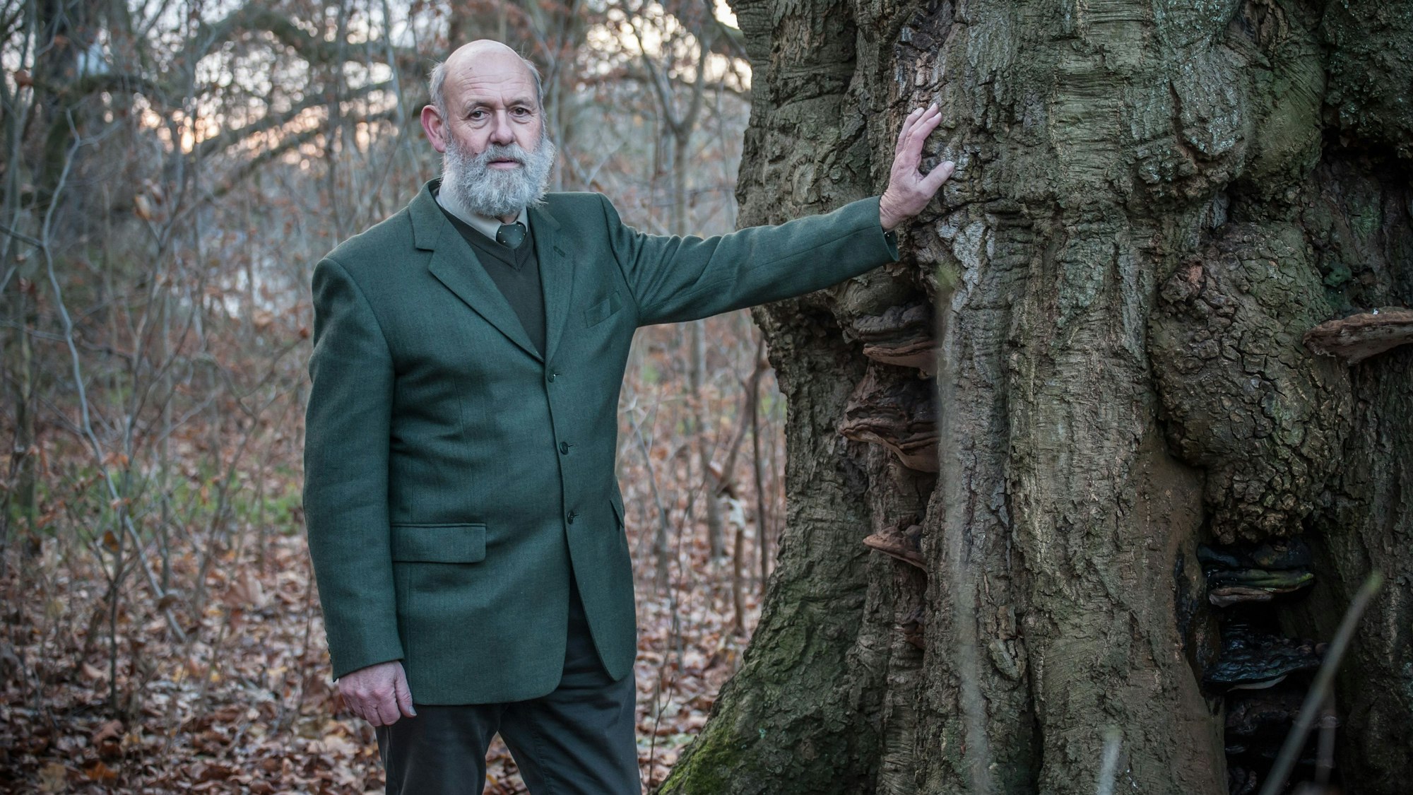 Im Schlosspark Morsbroich, dessen Rand zu den Waldgebieten Leverkusens zählt. Foto: Ralf Krieger