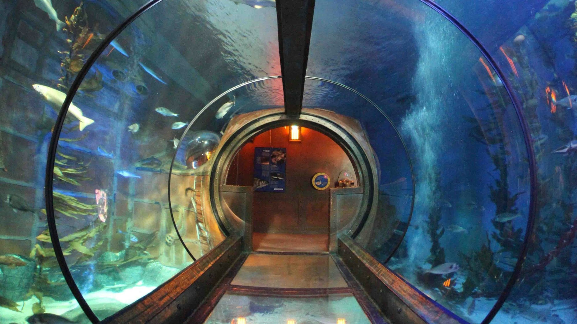 Das Ozenbecken im Aquarium Sea Life fasst 500.000 Liter.