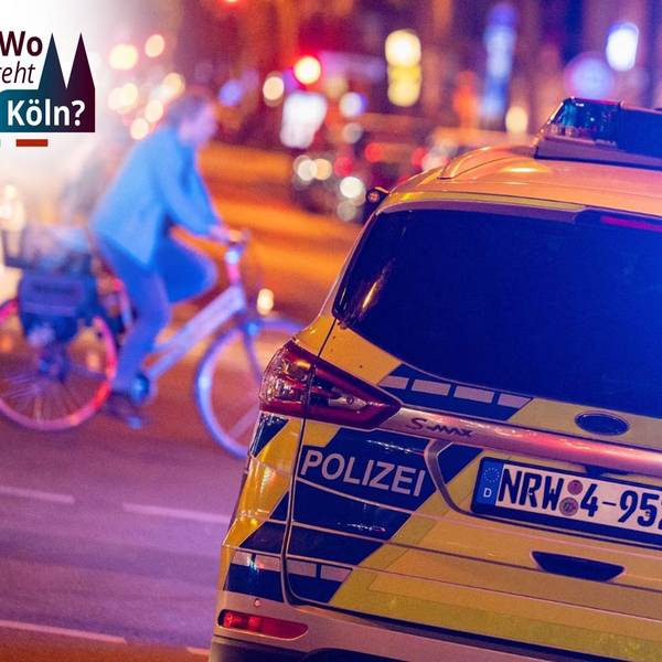 Ein Streifenwagen mit Blaulicht von hinten