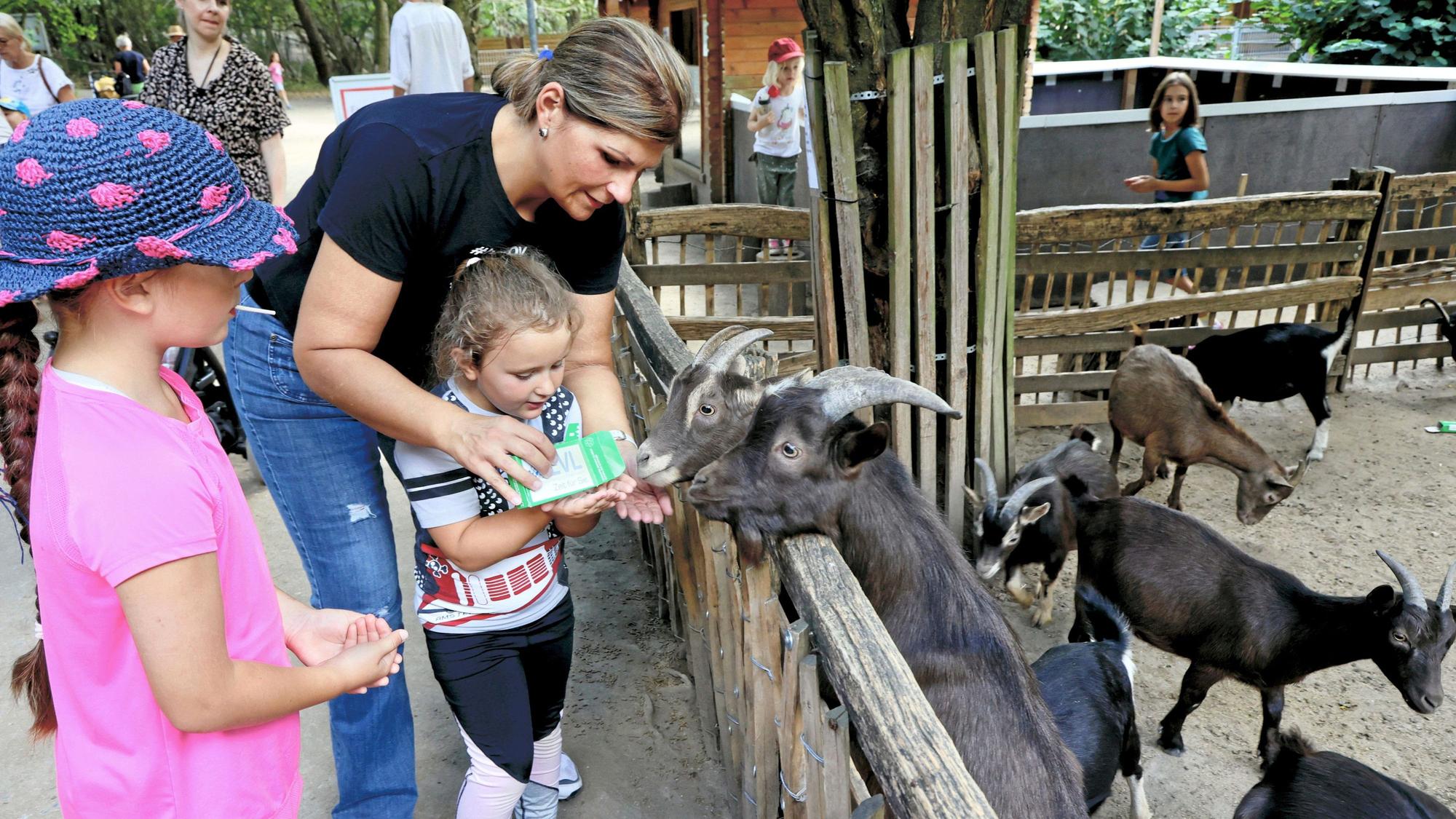 Im Wildpark Reuschenberg warten Ziegen, Schafe und Alpakas auf kleine und große Besucher