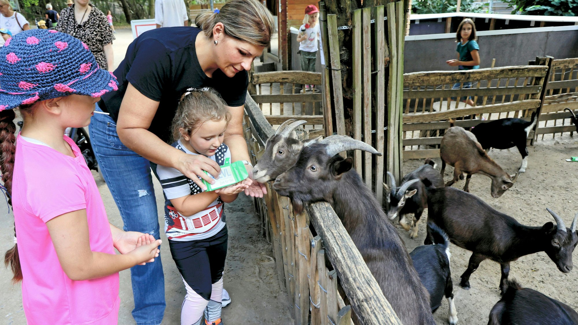 Archivbild: Kinderfest im Wildpark Reuschenberg. Ein junges Mädchen füttert Ziegen.