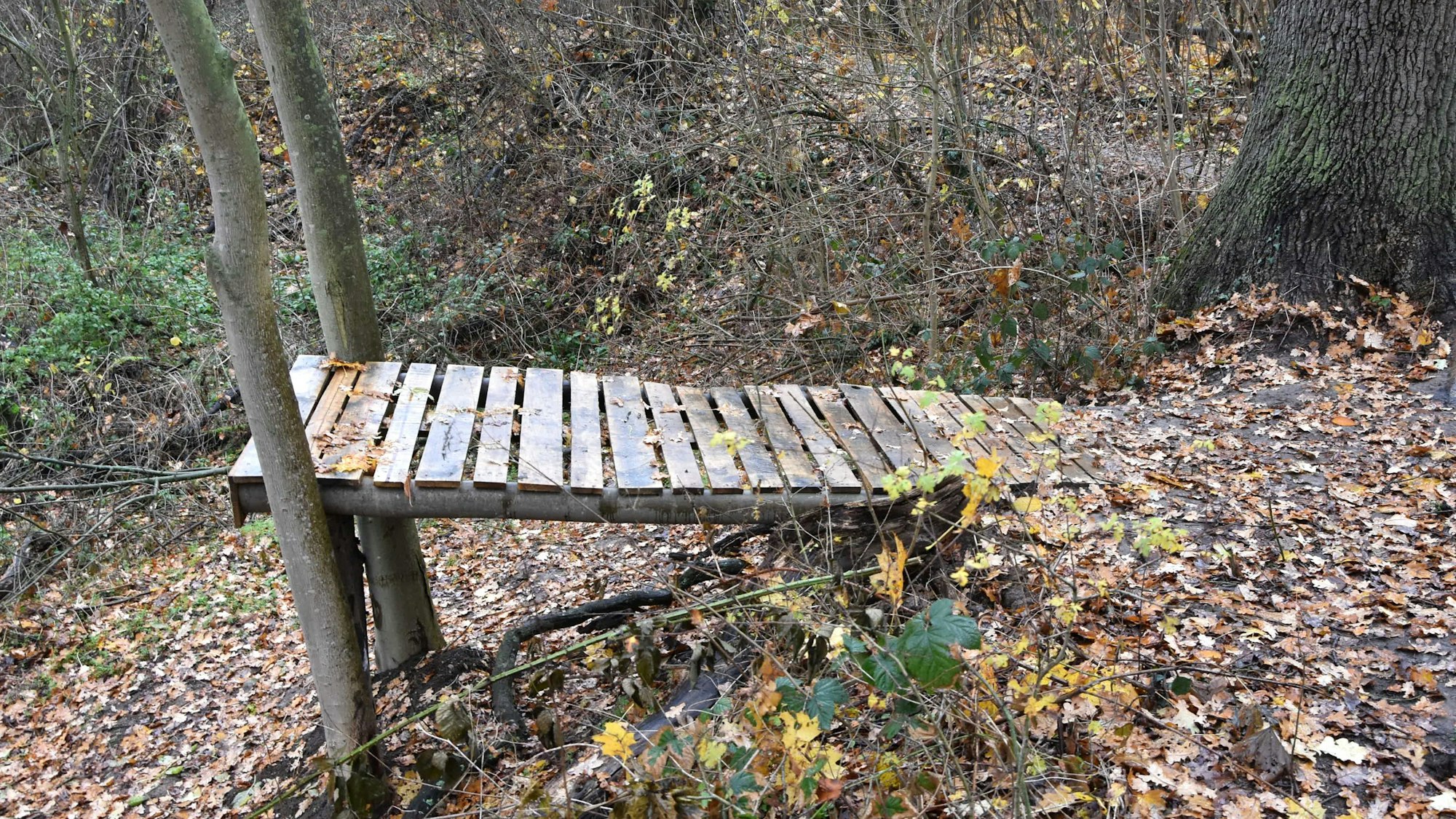 Die Stadt Elsdorf wird die Rampe jetzt entfernen.