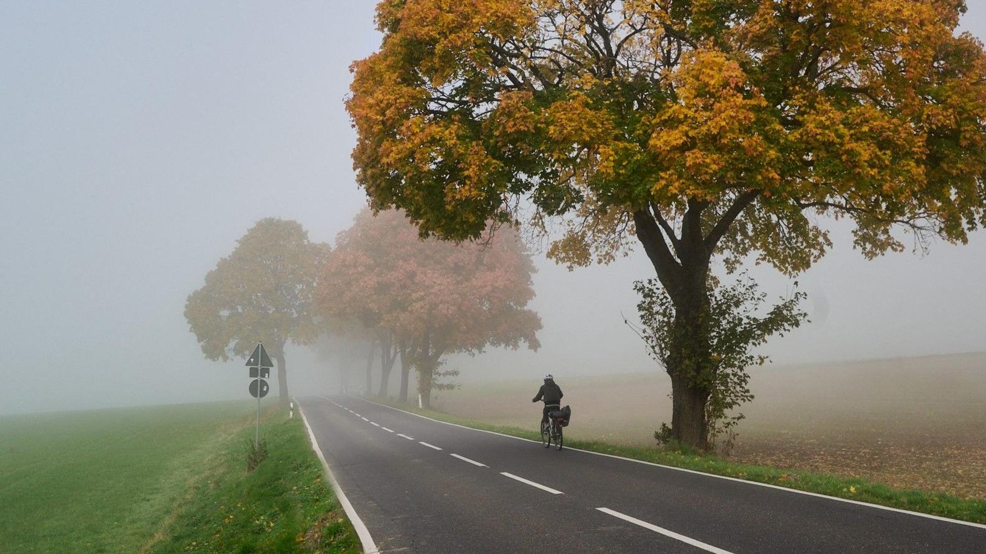Eine Fahrradfahrerin fährt auf einer Straße unter herbstlich gefärbten Bäumen. Im Hintergrund geht die Landschaft in Nebel über.