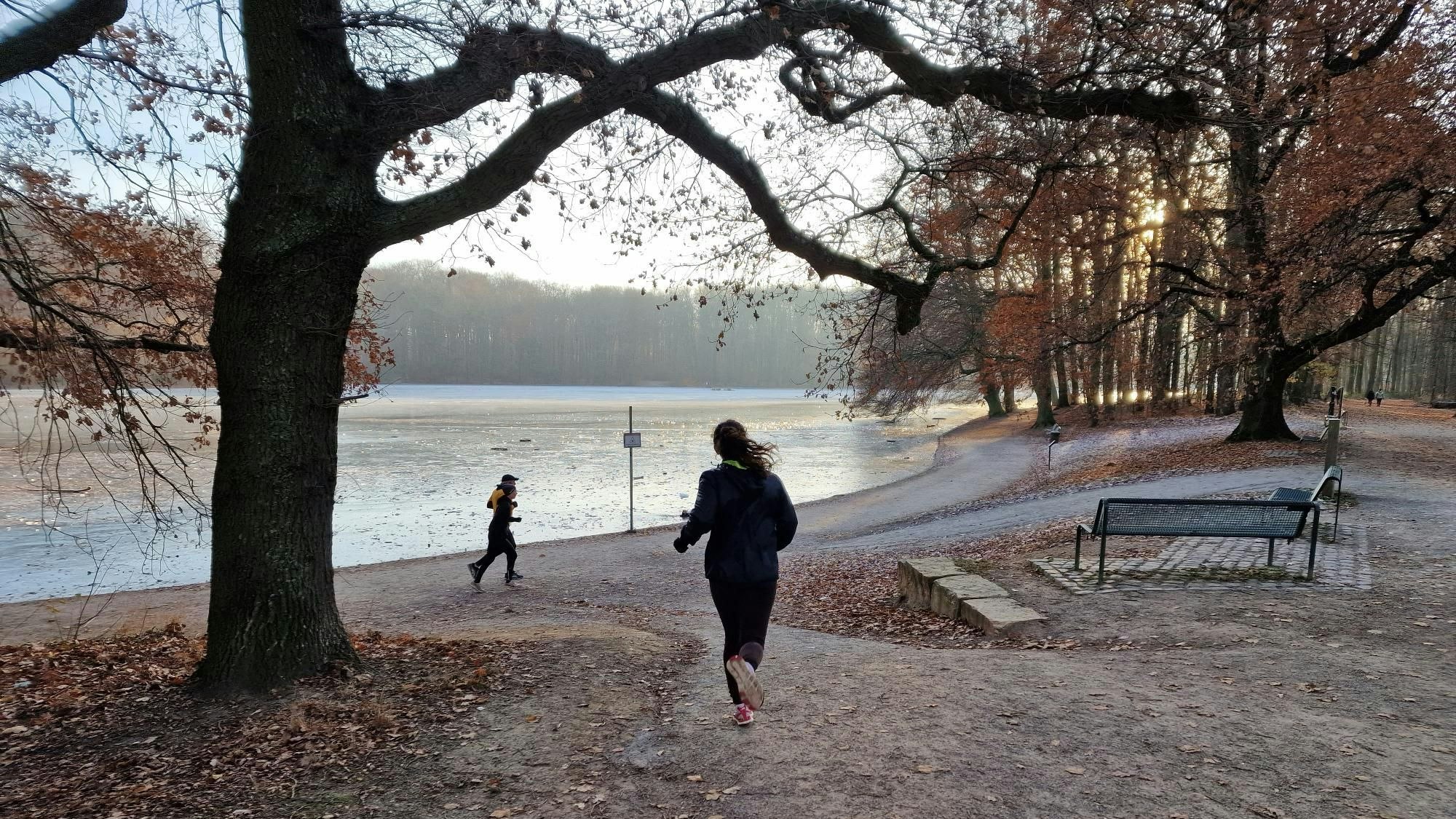 Der Adenauer Weiher im Winter in Köln.