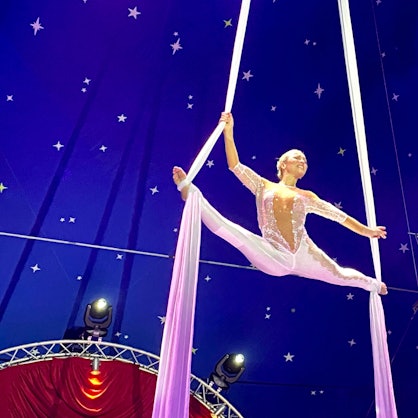 Karola Casselly hängt unter der Zirkuszeltdecke an zwei seidenen Tüchern und performt ihre Akrobatiknummer.