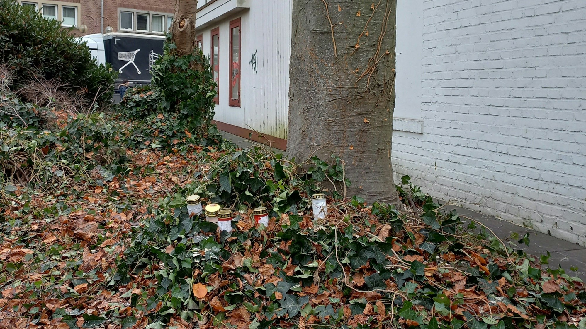 Der Stumpf einer Blutbuche steht in Kerpen-Horrem. Davor haben Anwohnerinnen und Anwohner Grabkerzen aufgestellt.