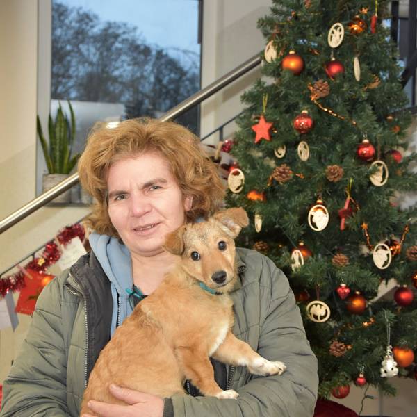 Die Tierheimchefin steht vor einem Tannenbaum und hält einen Welpen in der Hand.
