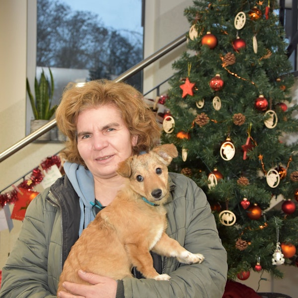 Die Tierheimchefin steht vor einem Tannenbaum und hält einen Welpen in der Hand.