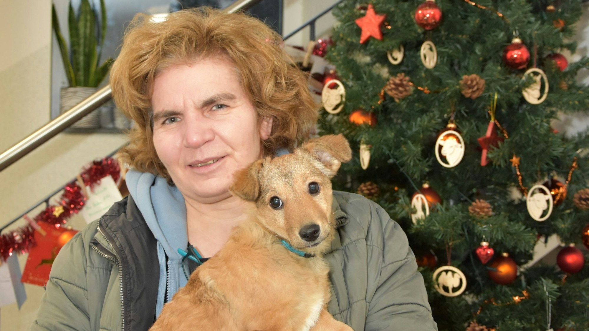 Die Tierheimchefin steht vor einem Tannenbaum und hält einen Welpen in der Hand.