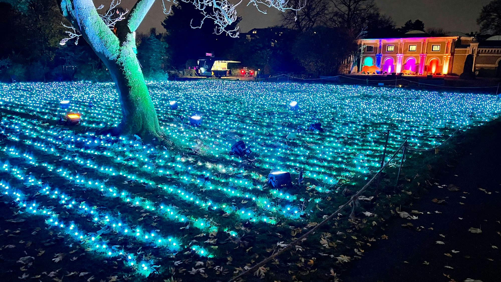 Ein Lichtermeer im Christmas Garden im Kölner Zoo.