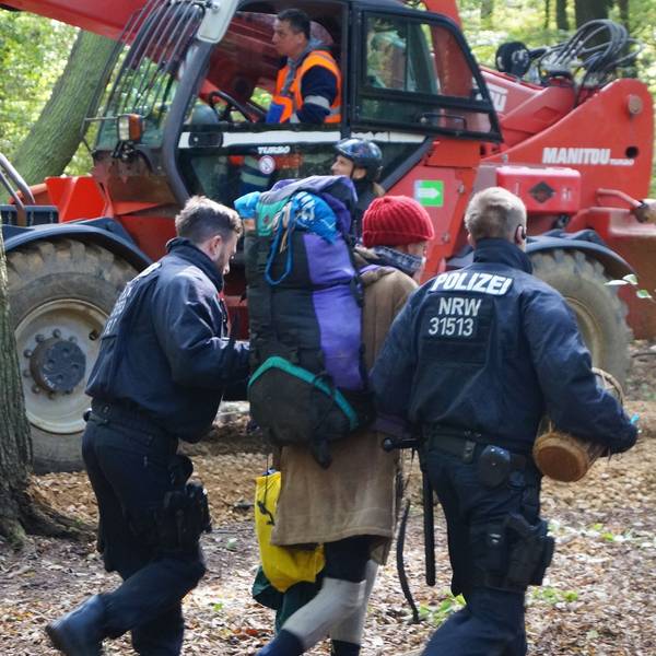 Polizisten führen eine Demonstrantin im Hambacher Forst ab.