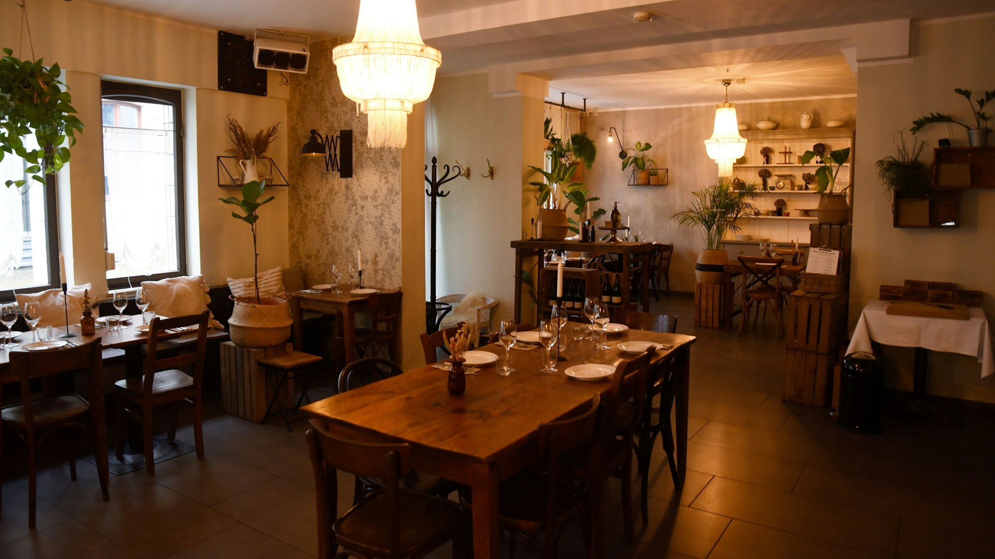 Das Restaurant Haus Müller in Köln von innen mit Holz-Interior und Pflanzen