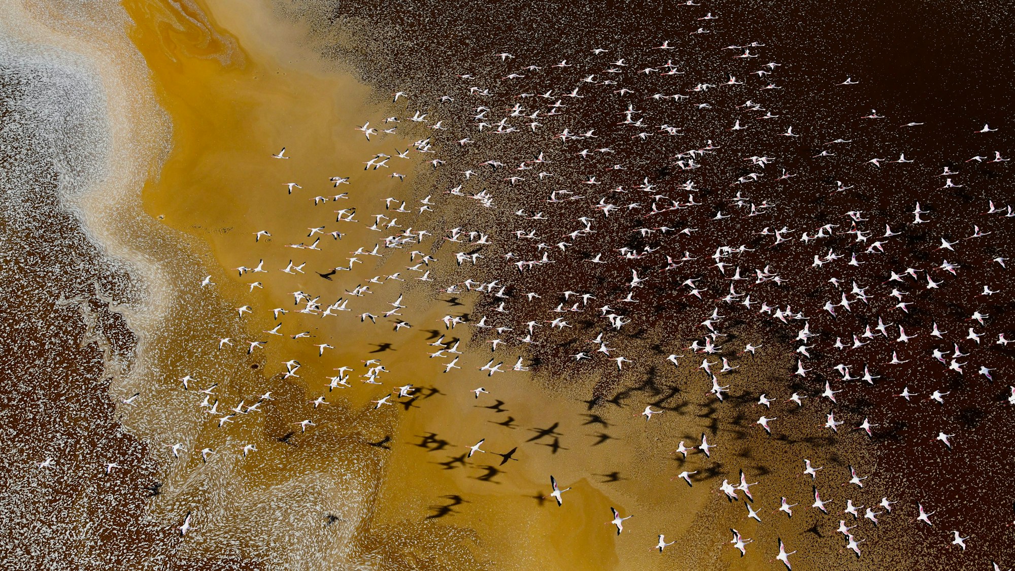 Vögel fliegen über den Magadisee und den Natronsee.