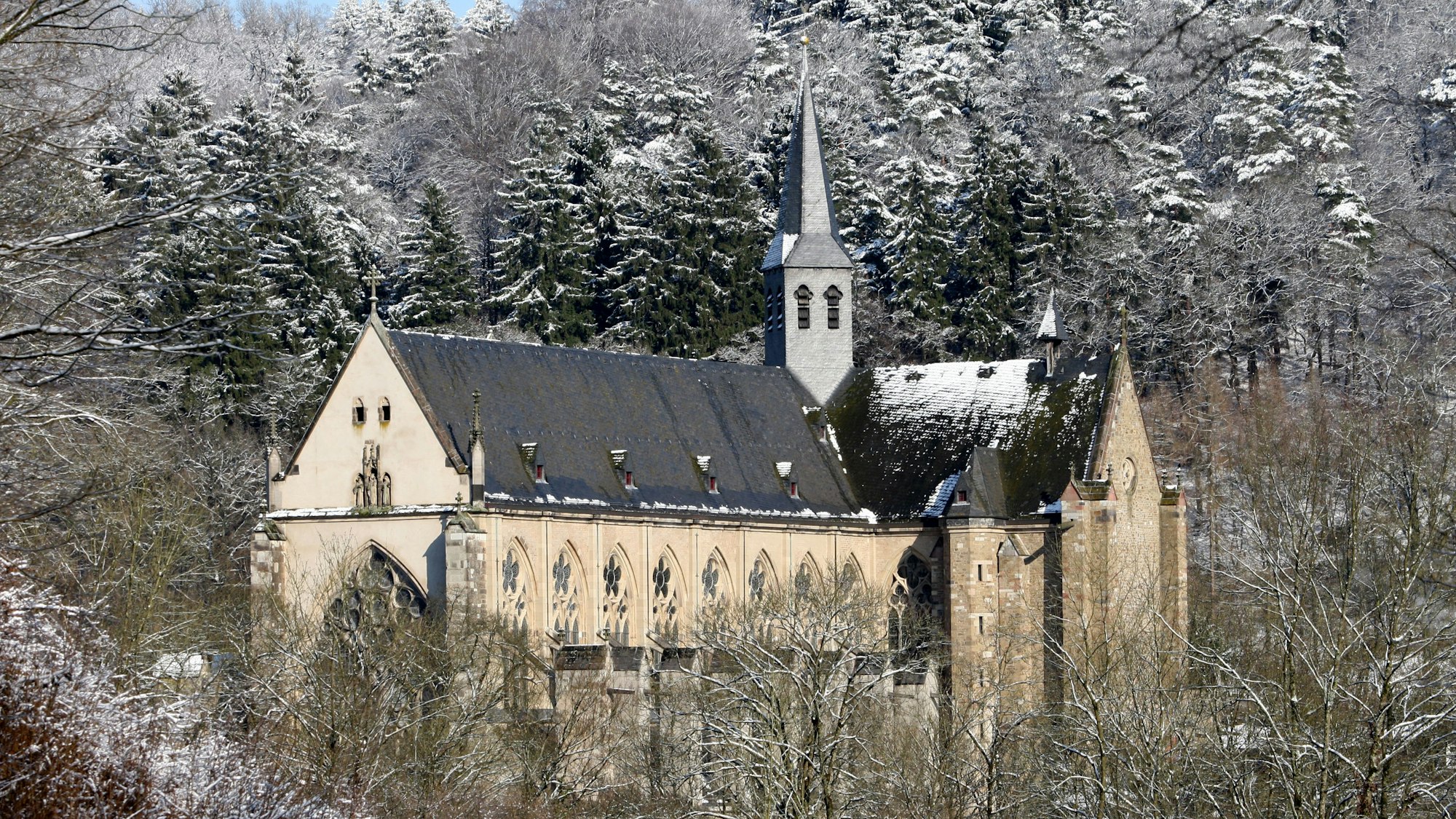 Die Bäume um den Altenberger Dom herum sind verschneit.