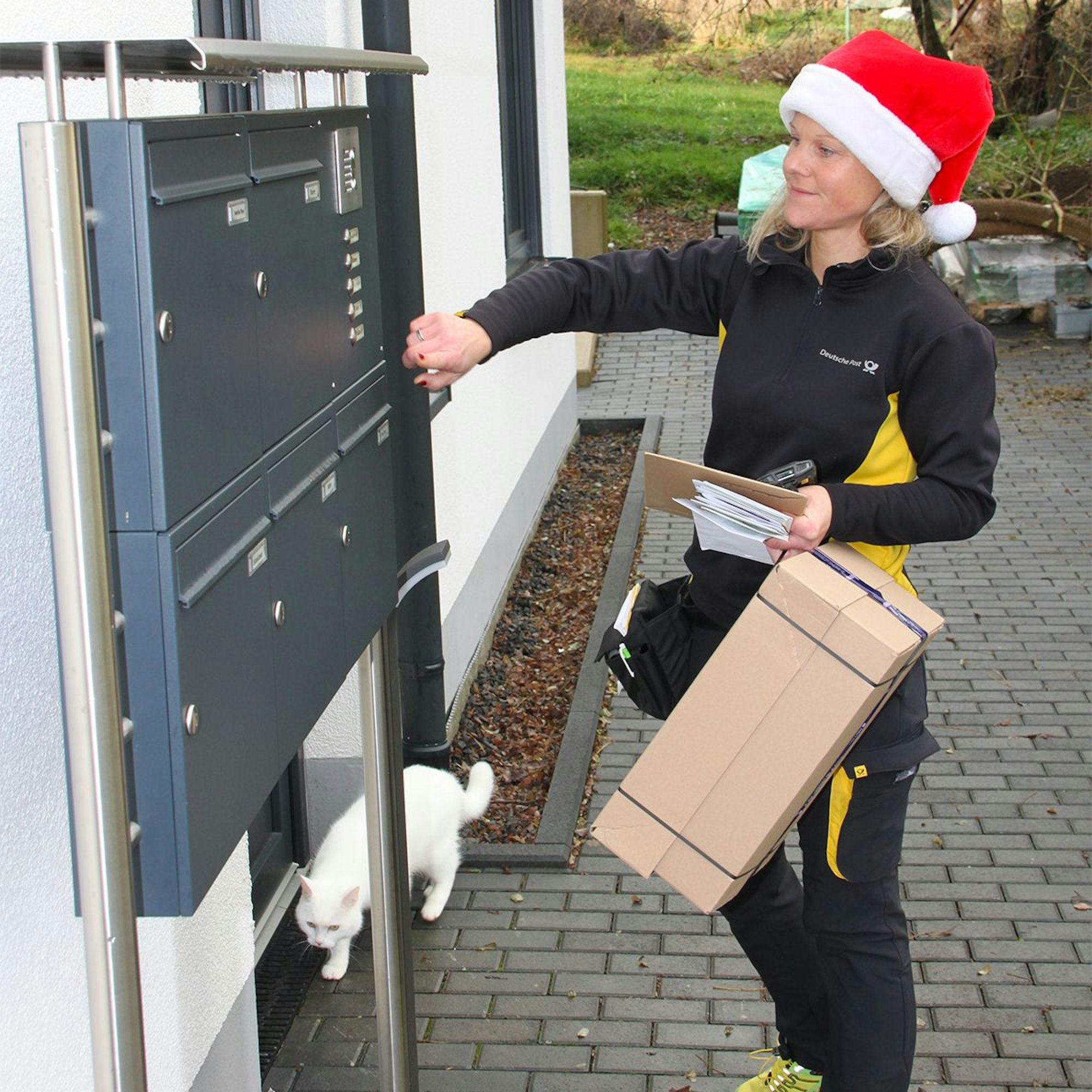 Zustellerin Sarah Vorstadt füttert die Briefkästen eines Mehrfamilienwohnhauses in Mülheim. Eine weiße Katze lässt sich dadurch nicht aus der Ruhe bringen.