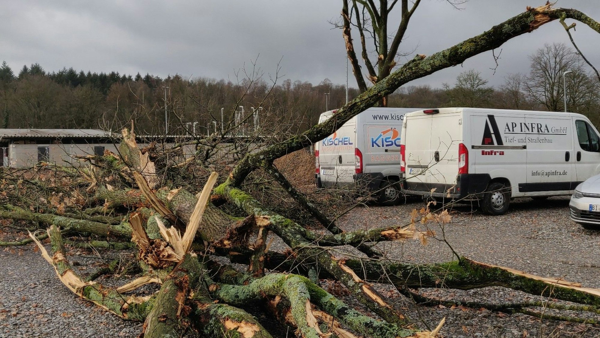 Ein Stapel mit Ästen gefällter Bäume liegt am Sportlerheim auf dem Bauplatz.