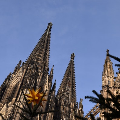 Der Kölner Dom hinter weihnachtlichem Schmuck des Weihnachtsmarkts.