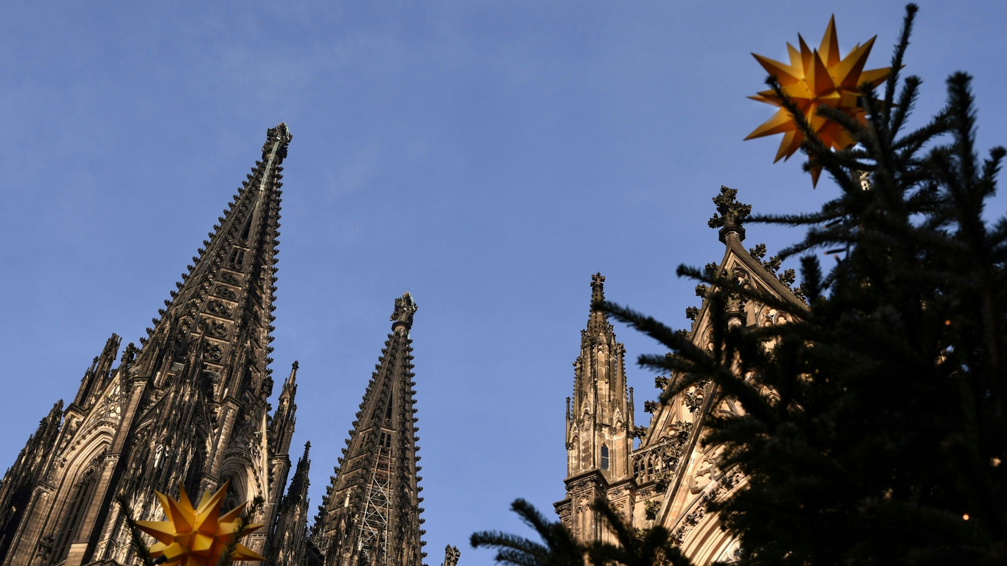 Der Kölner Dom hinter weihnachtlichem Schmuck des Weihnachtsmarkts.