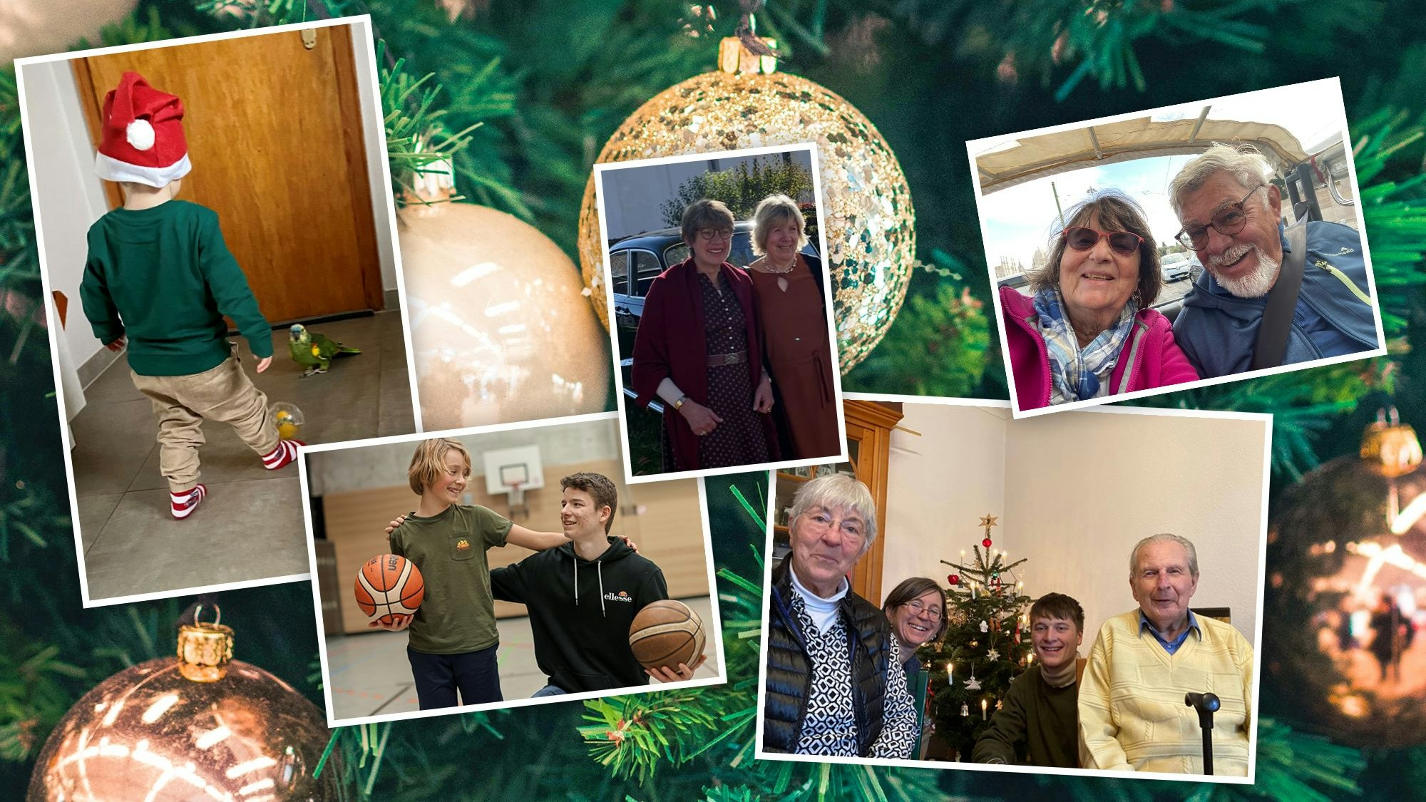 Vor einem Weihnachtsbaum hängen Bilder von geliebten Menschen.