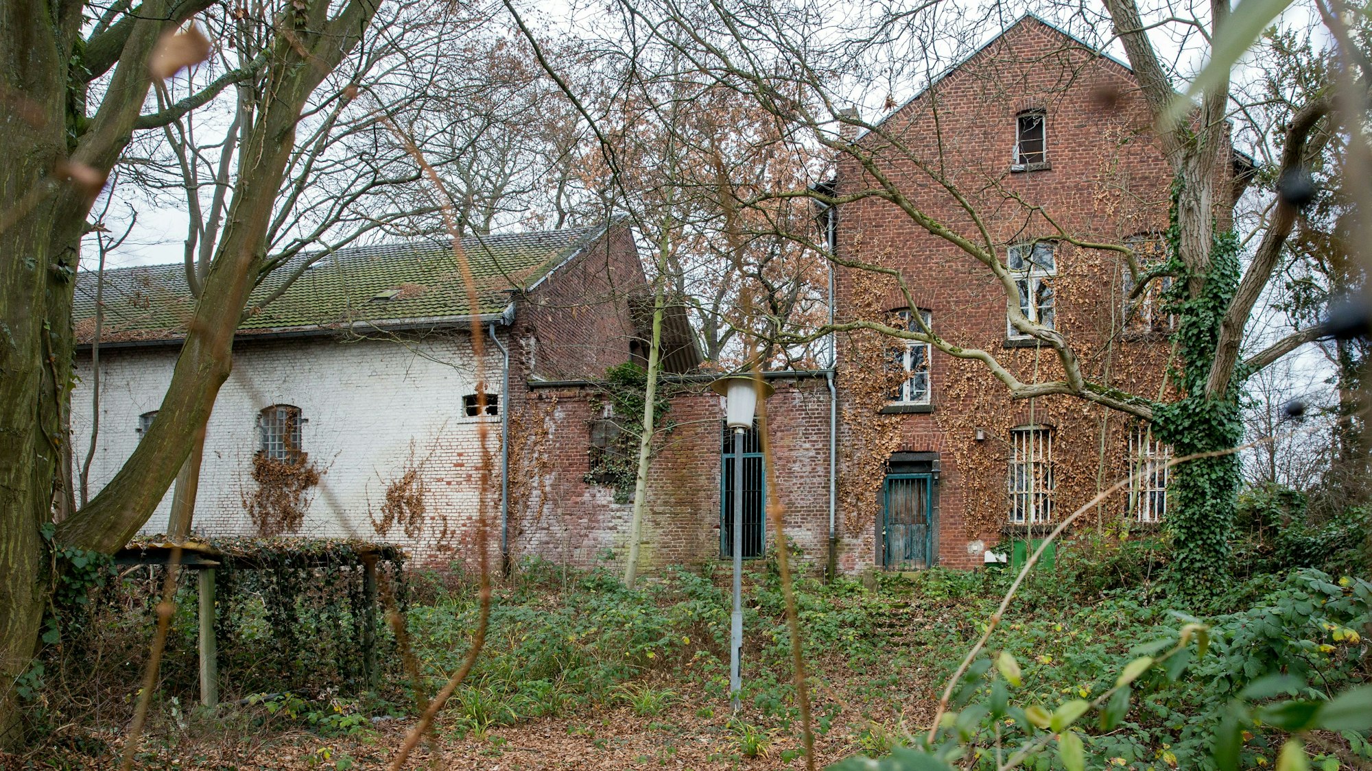 Der leerstehende und denkmalgeschützte Petershof in Müngersdorf von außen. Der Hof ist zugewachsen, viele Bäume und Sträucher umgeben ihn.