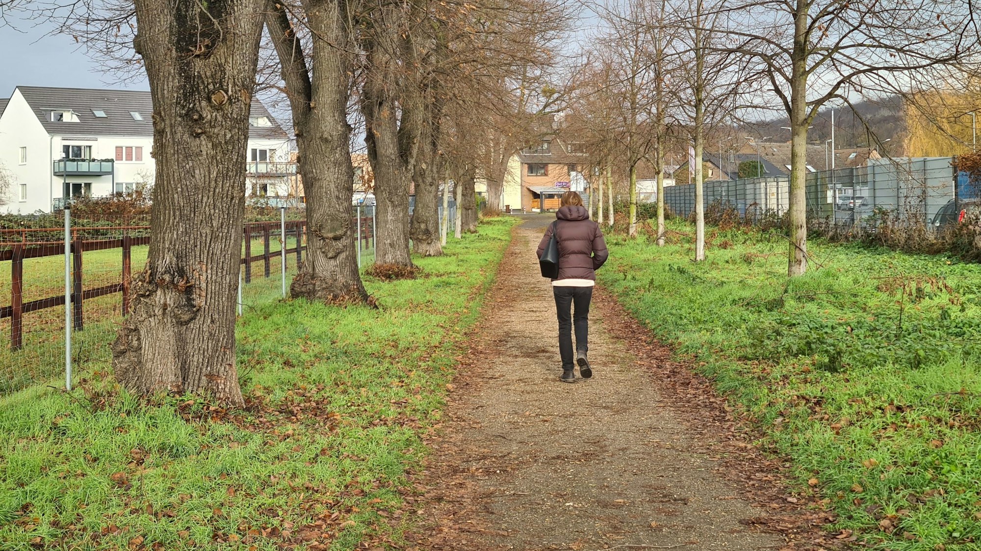 Die als Spazierweg beliebte Frenser Allee zum Schloss Frens soll dauerhaft geöffnet bleiben.
