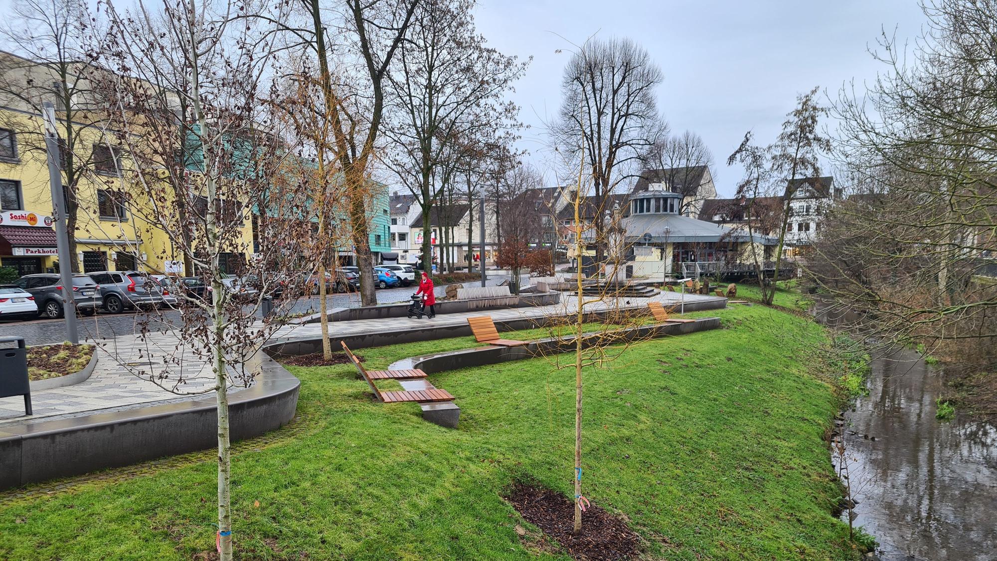 Bäume am Bergheimer Erftboulevard