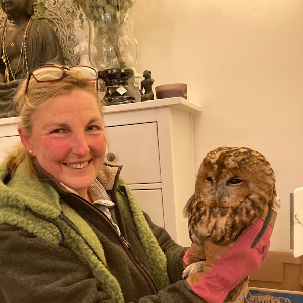 Gabi Pollerhof hält den geretteten Waldkauz in der Hand.