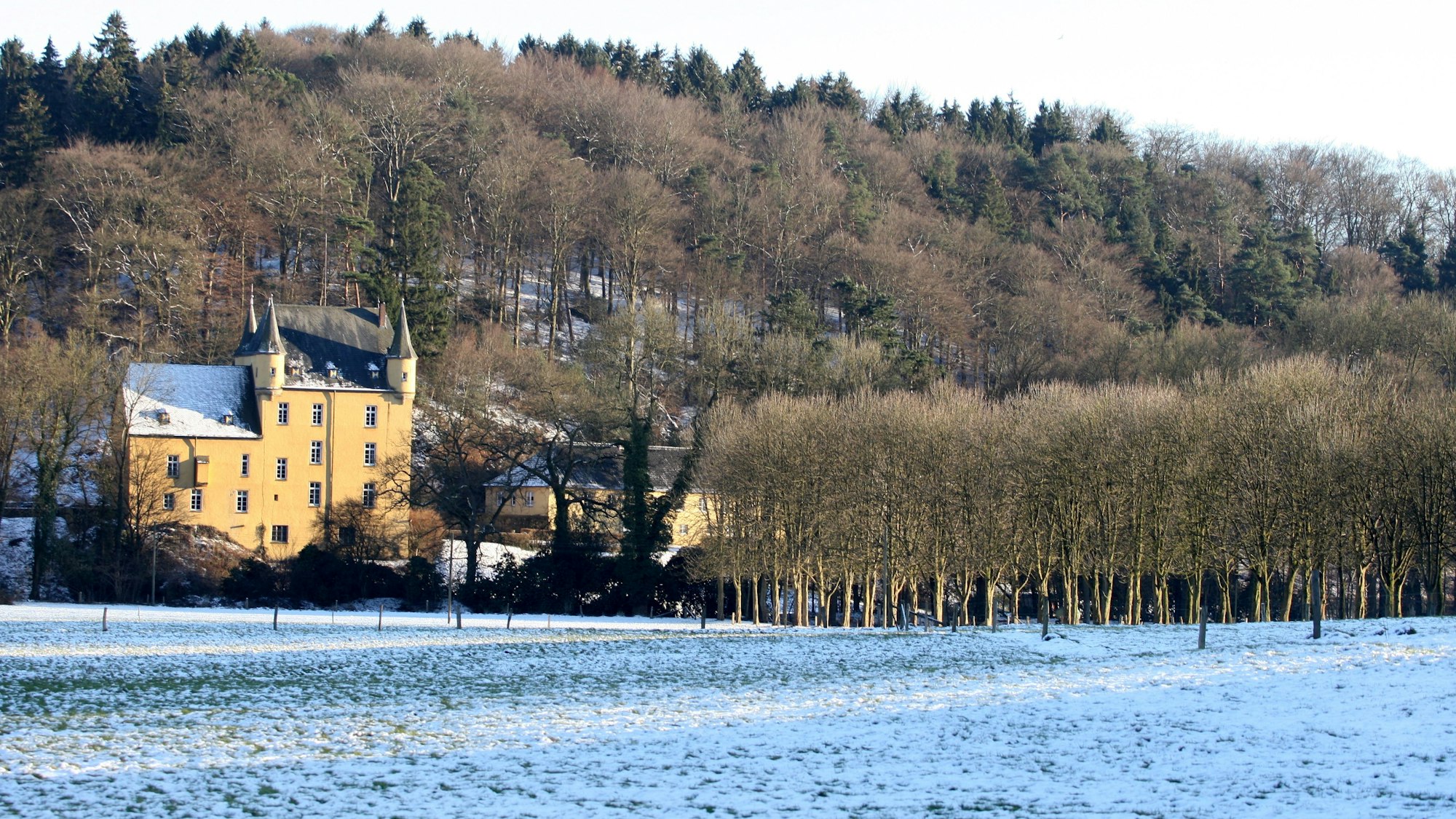 Ein gelbes Schloss ist hinter einer schneebedeckten Wiese am Waldrand zu sehen.