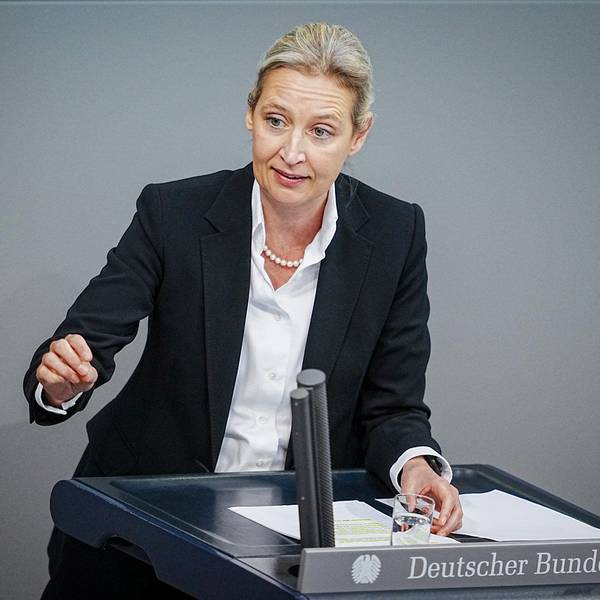 Alice Weidel spricht im Bundestag.