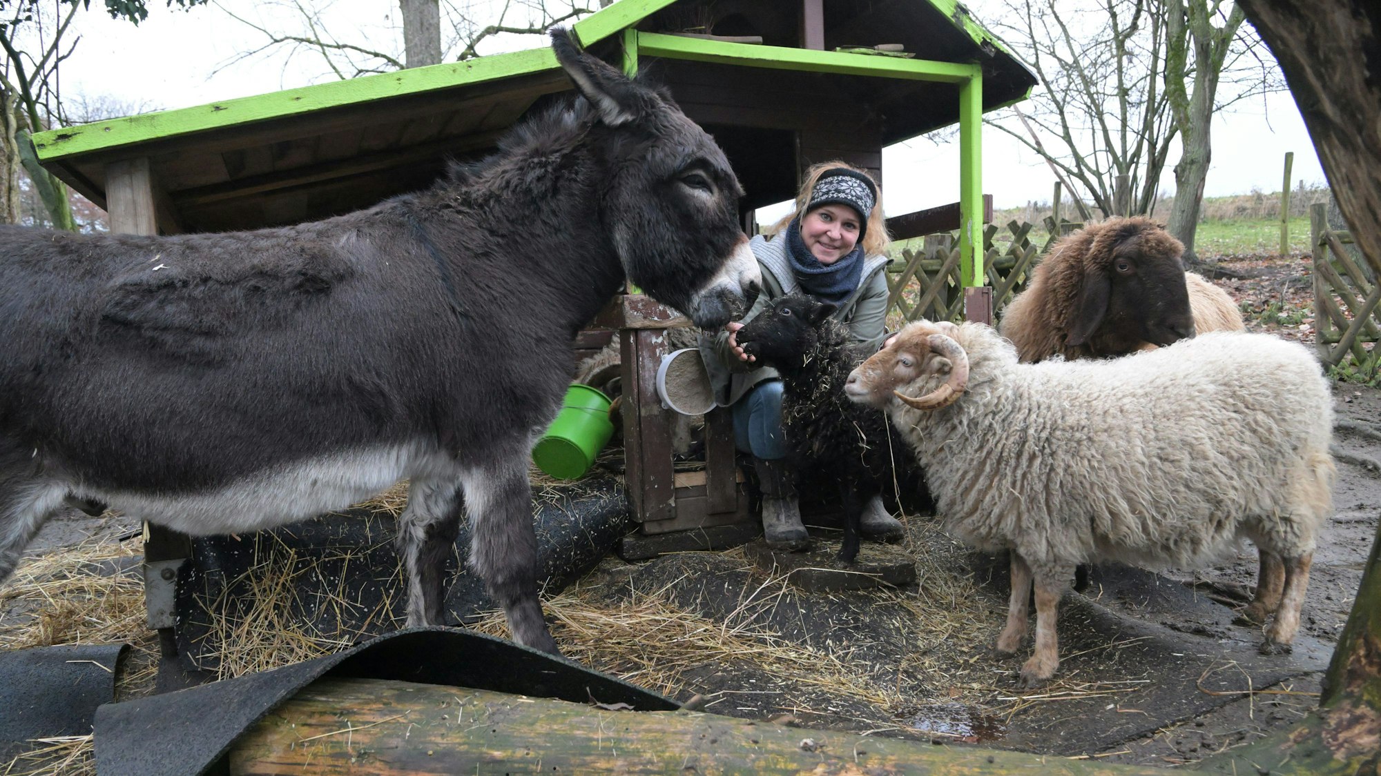 Katja Naseband inmitten von Esel und Schafen.