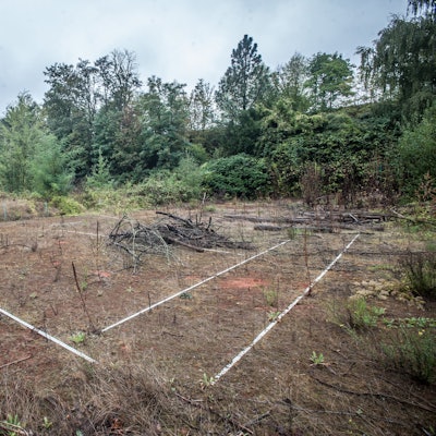Die große ESV-Anlage Opladen: die alten Tennisplätze.