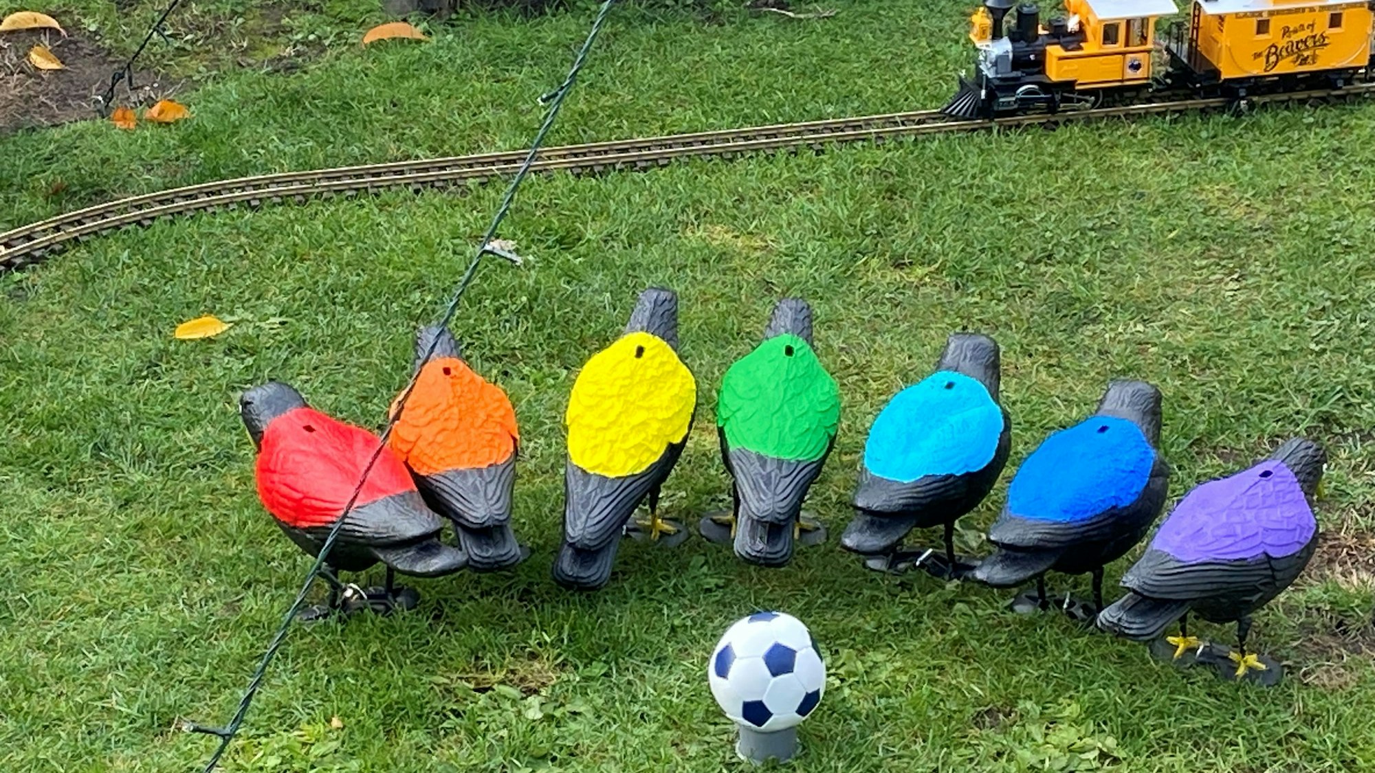 Sieben Raben mit bunten Rücken stehen auf einer Wiese und kehren einem kleinen Fußball den Rücken zu.