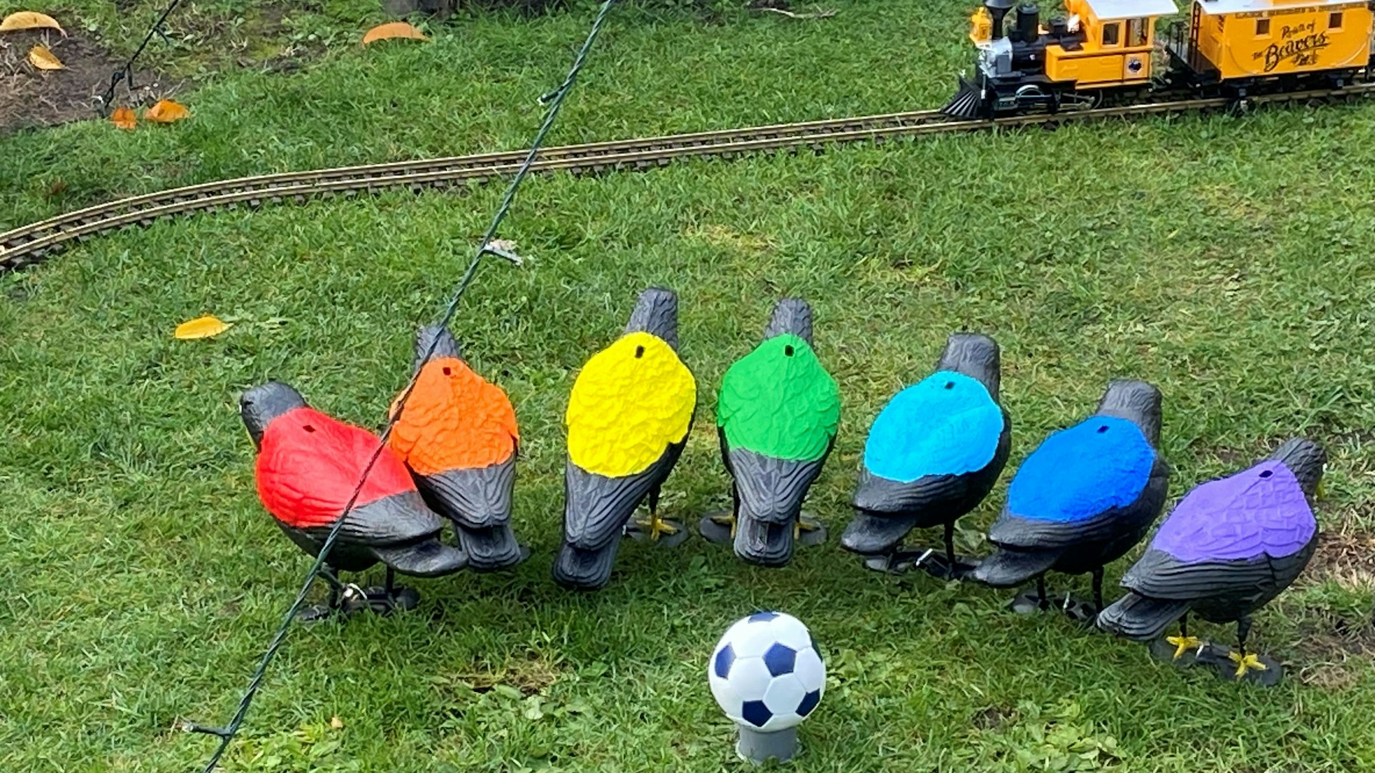 Sieben Raben mit bunten Rücken stehen auf einer Wiese und kehren einem kleinen Fußball den Rücken zu.