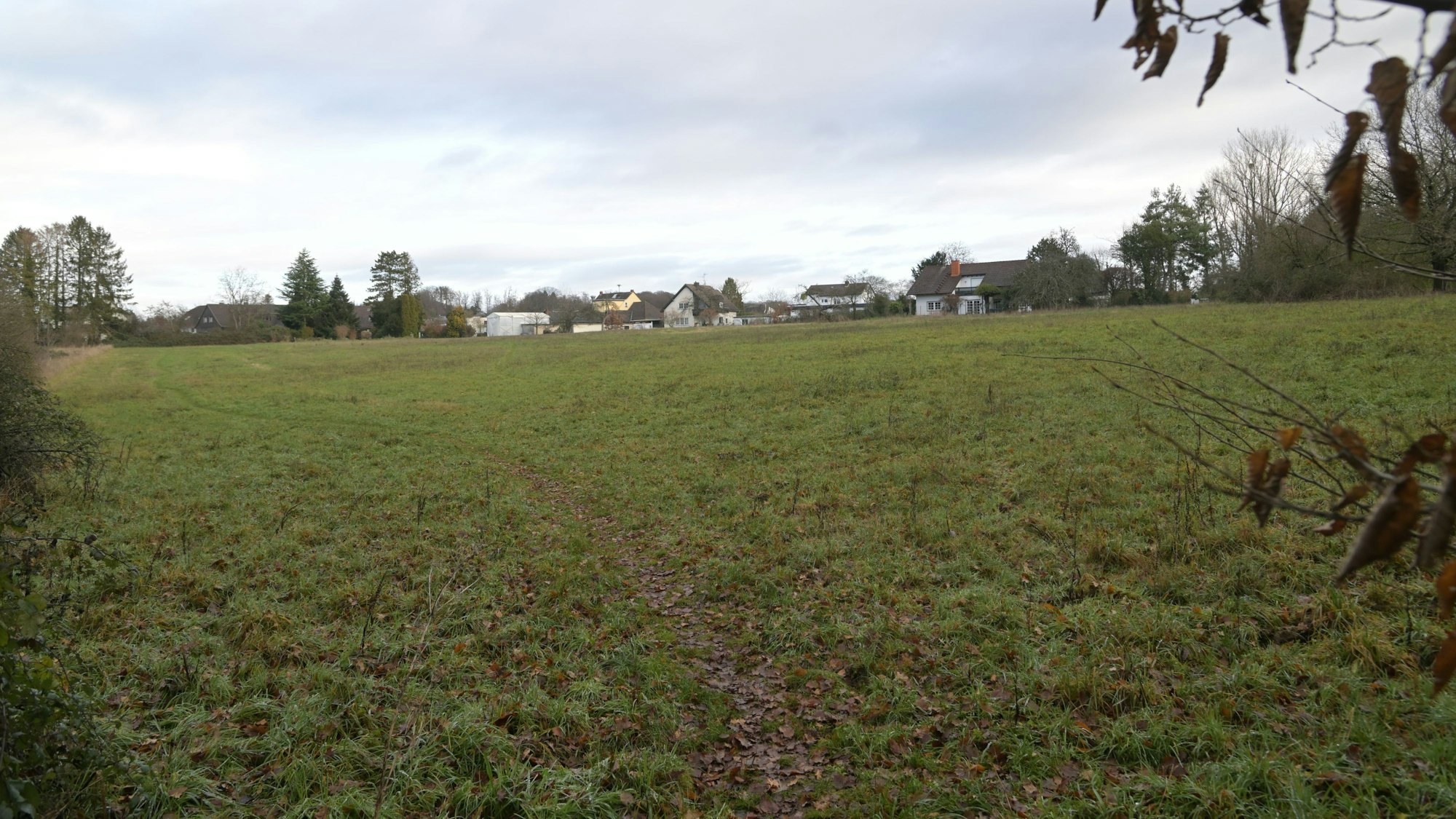 Eine Wiese mit Bebauung in der Ferne.