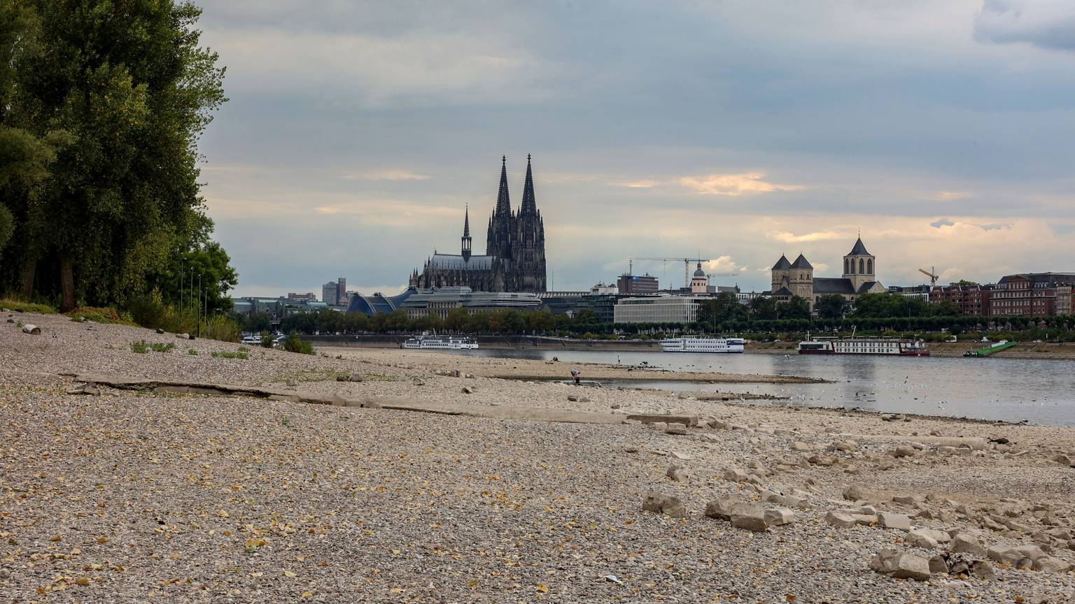 Niedrigwasser von 75 cm am Kölner Rheinufer
zwischen Hohenzollernbrücke und Zoobrücke.