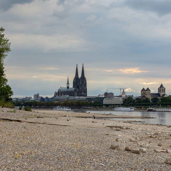 Niedrigwasser im August 2022 am Rheinufer zwischen Hohenzollern- und Zoobrücke, hinter dem größtenteils ausgetrockneten Flusslauf ragt der Kölner Dom empor.