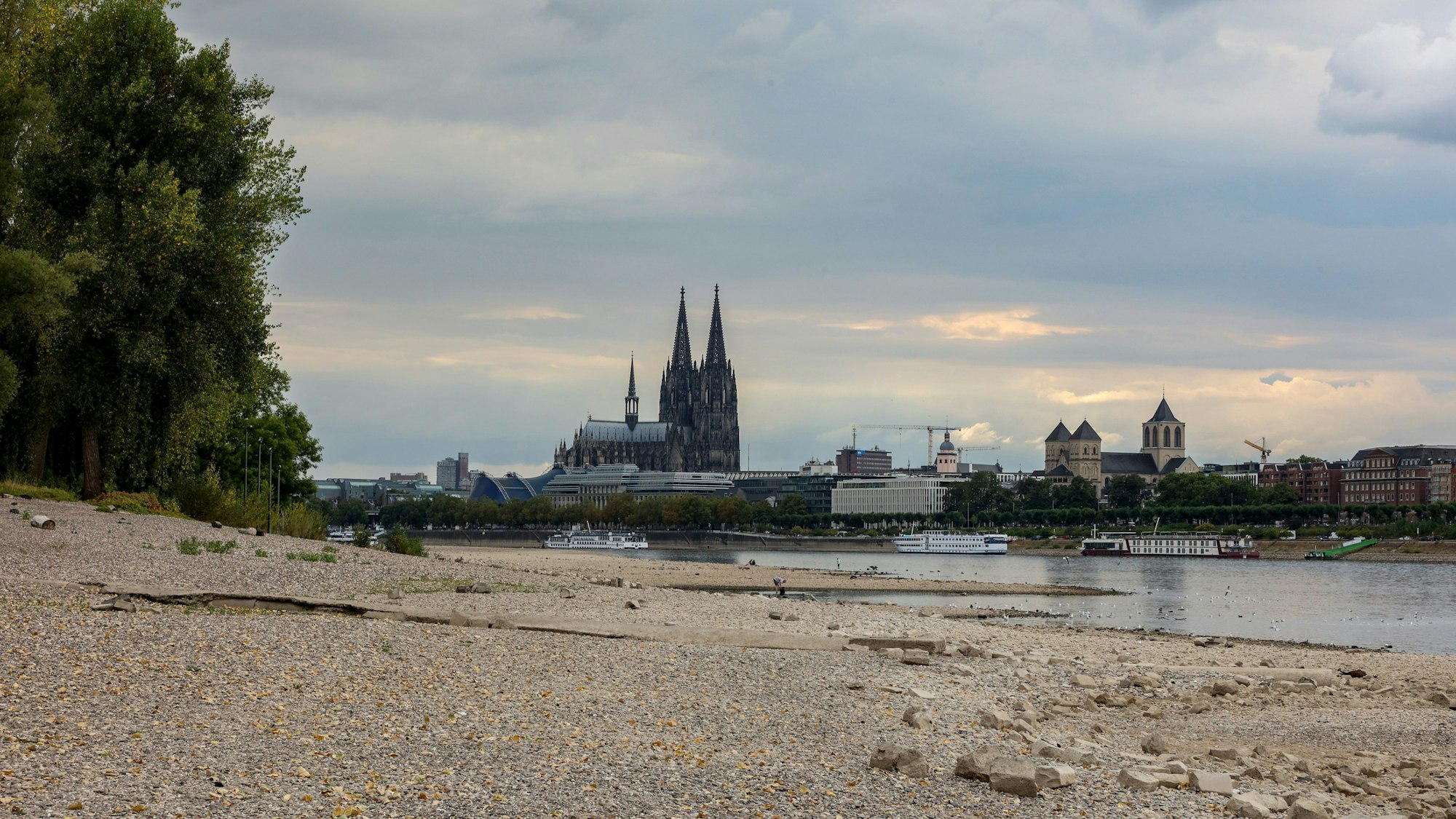 Niedrigwasser von 75 cm am Kölner Rheinufer
zwischen Hohenzollernbrücke und Zoobrücke.