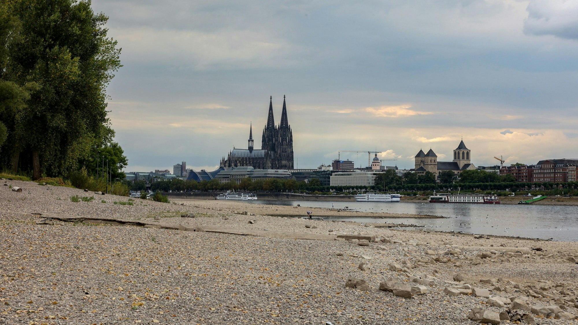 Niedrigwasser im August 2022 am Rheinufer zwischen Hohenzollern- und Zoobrücke, hinter dem größtenteils ausgetrockneten Flusslauf ragt der Kölner Dom empor.