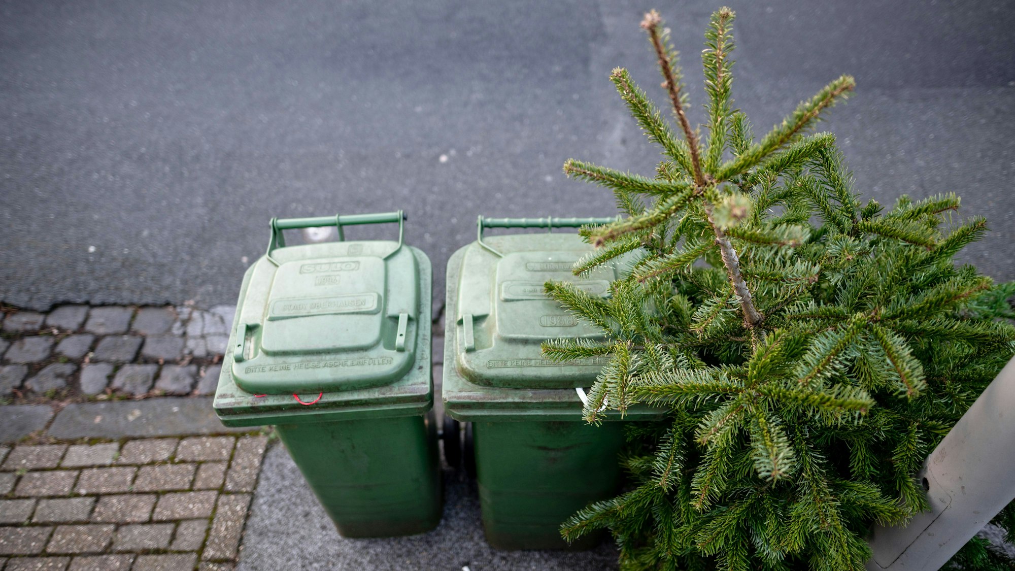 Ein Tannenbaum liegt an einer Straße neben grünen Abfalltonnen.