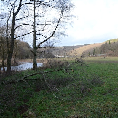 Ein Fluss schlängelt sich durchs Tal. Im Vordergrund liegt ein umgestürzter Baum.