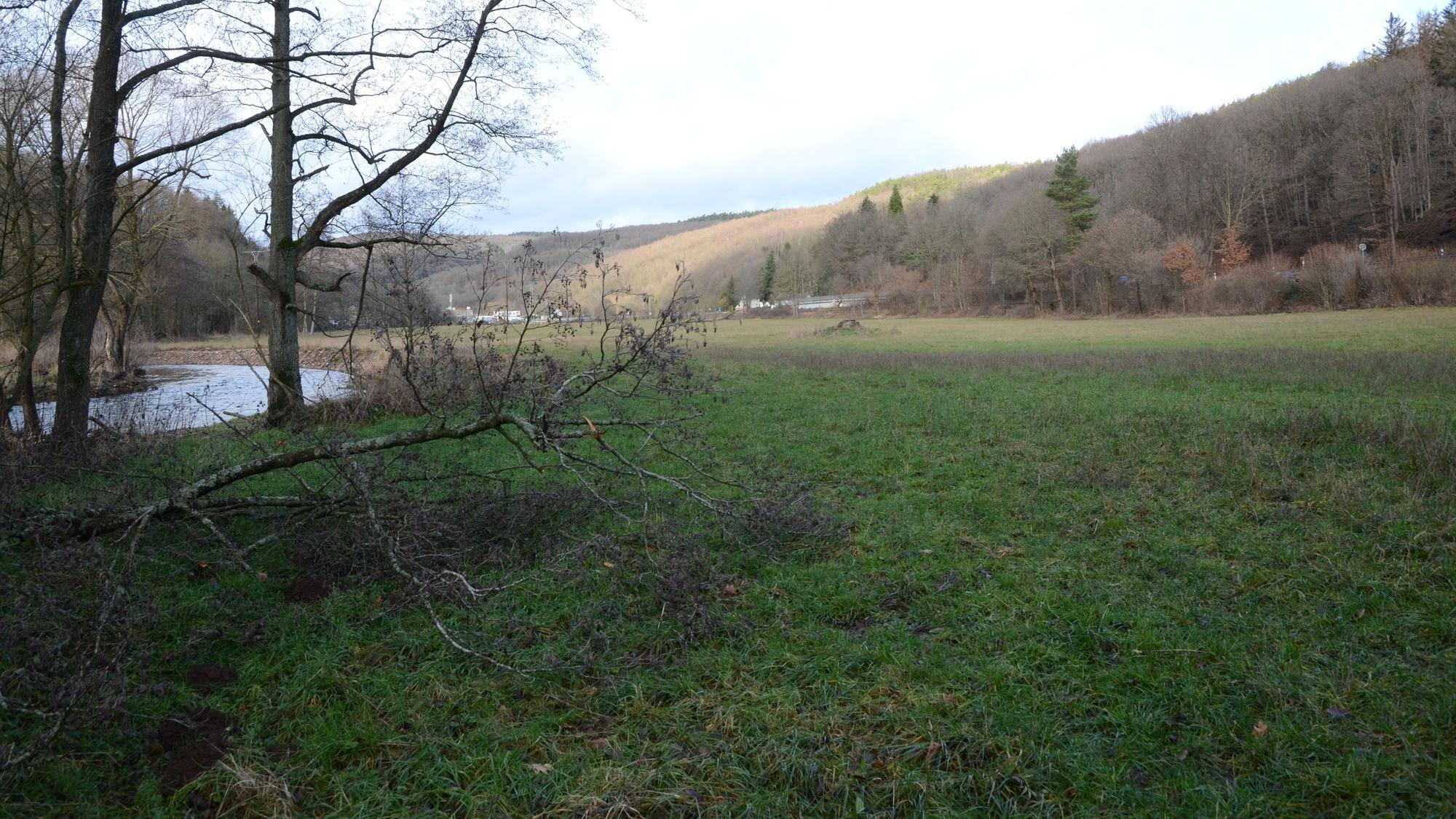 Links ist ein Teil der Urft zu sehen. Die große Wiese mit Blick Richtung Mauel soll künftig dem Hochwasserschutz dienen.