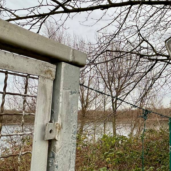 Tor und Zaun mit Verbotsschildern am bewaldeten Seeufer