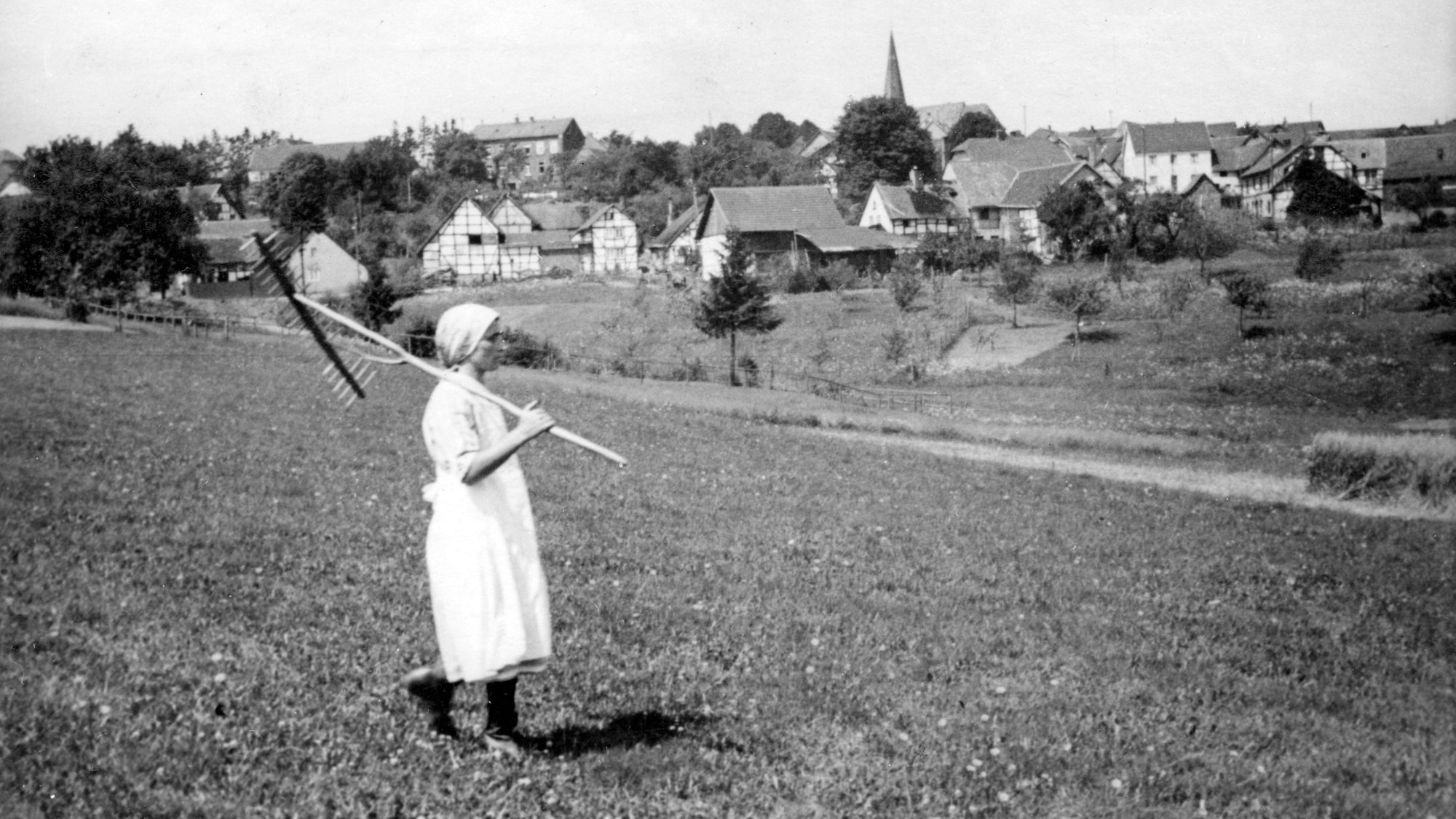 In den 1930er Jahren entstand das Bild, das eine junge Frau mit Heurechen auf einer Wiese zeigt. Im  Hintergrund  ist das  Dorf Wollseifen zu sehen, dessen Bewohner 1946 vertrieben wurden.