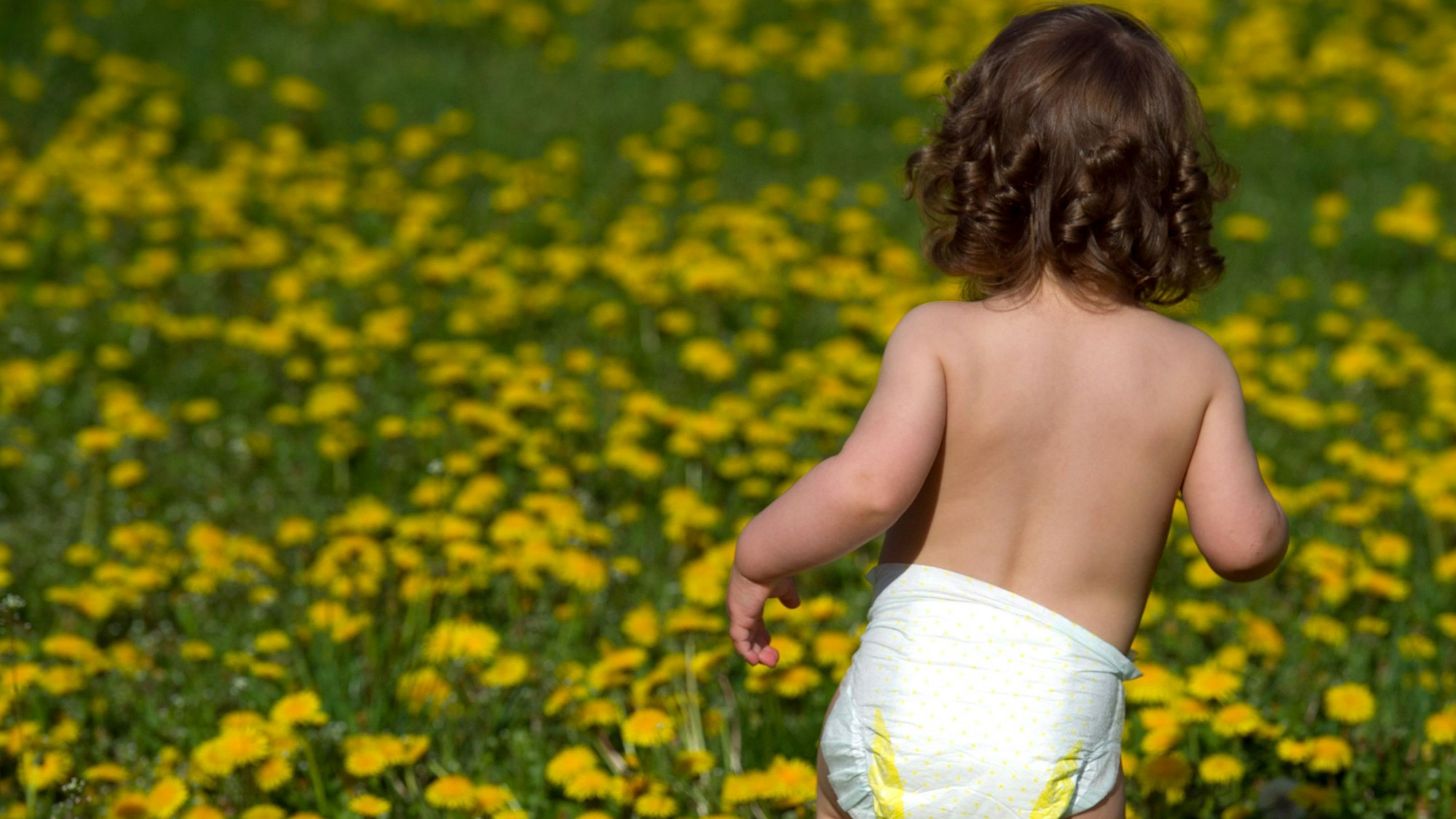 Ein kleines Mädchen, nur bekleidet mit einer Windel, läuft über eine Löwenzahnwiese.